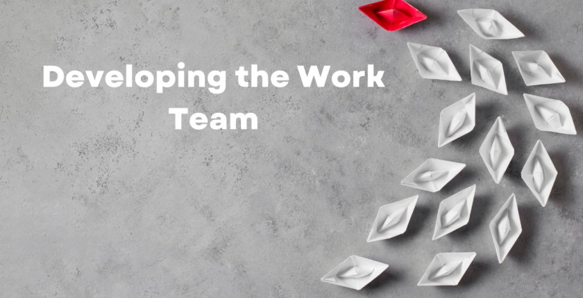Developing the Work Team