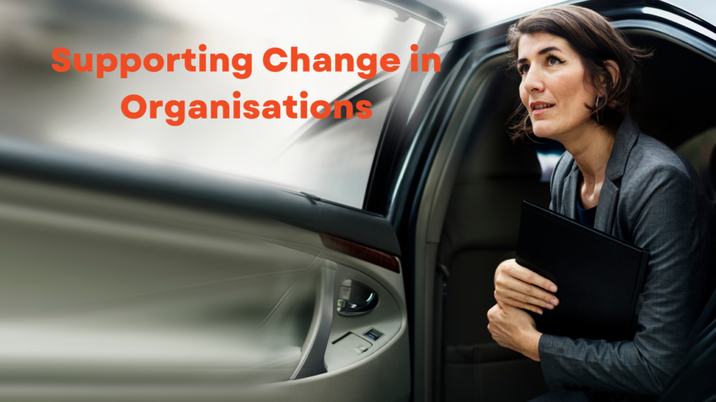 3SCO Supporting Change in Organisations
