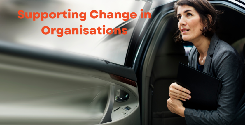 3SCO Supporting Change in Organisations