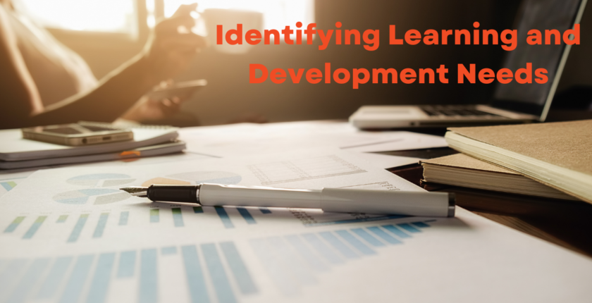 3LDN Identifying Learning and Development Needs