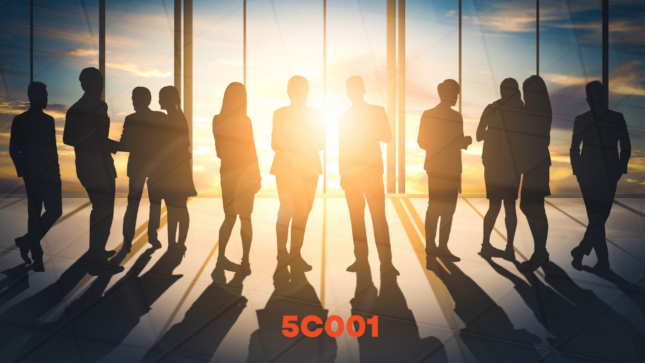 5C001 Organisational Performance and Culture in Practice